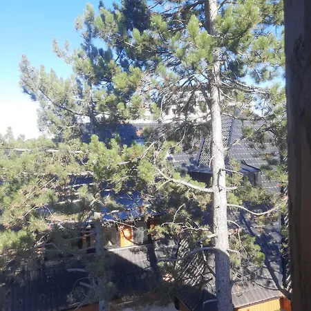 Zlatni Vrh Apartment Zlatibor