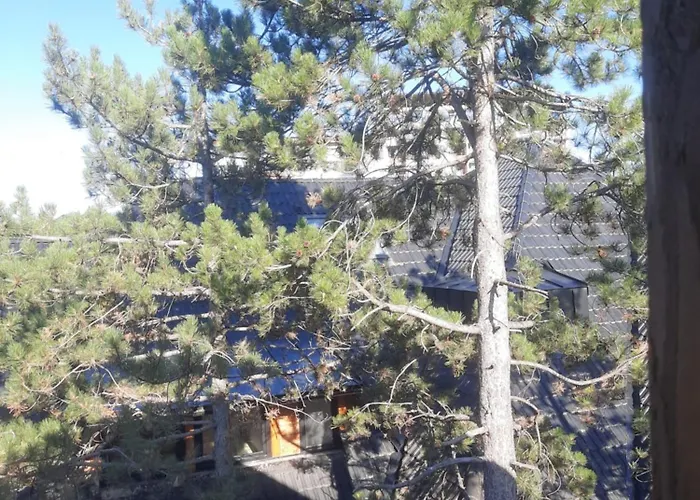 Zlatni Vrh شقة زلاتيبور